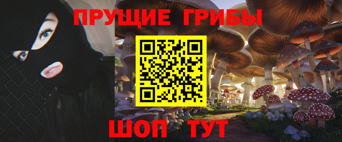 где купить   Галлюциногенные грибы мицелий  Вход с VPN  Первоуральск 